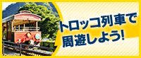 トロッコ列車で周遊しよう!